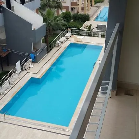 Taurus Sitesi シダ